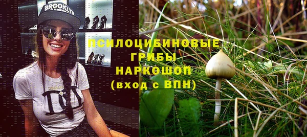 амф Белокуриха