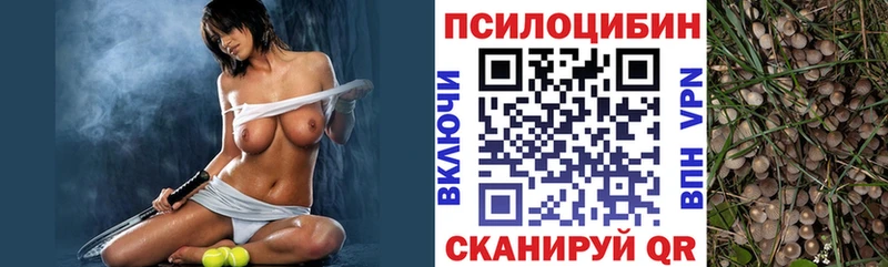 Псилоцибиновые грибы мухоморы  даркнет официальный сайт  Шуя 
